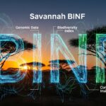 Savannah BINF